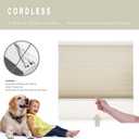 Changshade Cordless Cellular Shades, Light Filtering Honeycomb Blinds for Indoor Windows Bedroom, Pull Down Pleated Accordion Blind Easy Install, Shade Size 35" Wx64 H, Beige