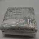 Area Rugs 5x7 for Living Room Bedroom, Modern Abstract Machine Washable Large Light Green Rug Soft Rug, Low Pile Floor Carpet with Non Slip Backing for Dining Room