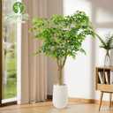 6.5FT Artificial Ficus Tree with White Planter, Moss and Pebbles | Faux Silk Tree with Lifelike Leaves and Realistic Trunk, Tall Fake Potted Plant, Home and Office Dcor, Indoor and Outdoor