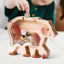 Wooden Bear Piggy Bank for Kids, Cute Unbreakable Money Coin Bank Jar, Safe Money Box, Transparent Saving Jar, Birthday Easter Anniversary Baptism Gifts for Boys Girls Toddler, Bear Lovers (Large)