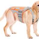 Dog Back Brace for Arthritis, Dog Hip Brace for IVDD, Frame Support Harness for BackKeeps The Back Stable and Reduces Movements and Pains (XXL)