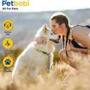 Petbobi Dog Tie-Out Cable and Stake - 30ft Heavy Duty Cable with Spring, No Tangle, 16in Ground Stake, Ideal for Yard, Camping and Beach, Suitable for Small Medium Large Dogs Up to 120 lbs, Blue