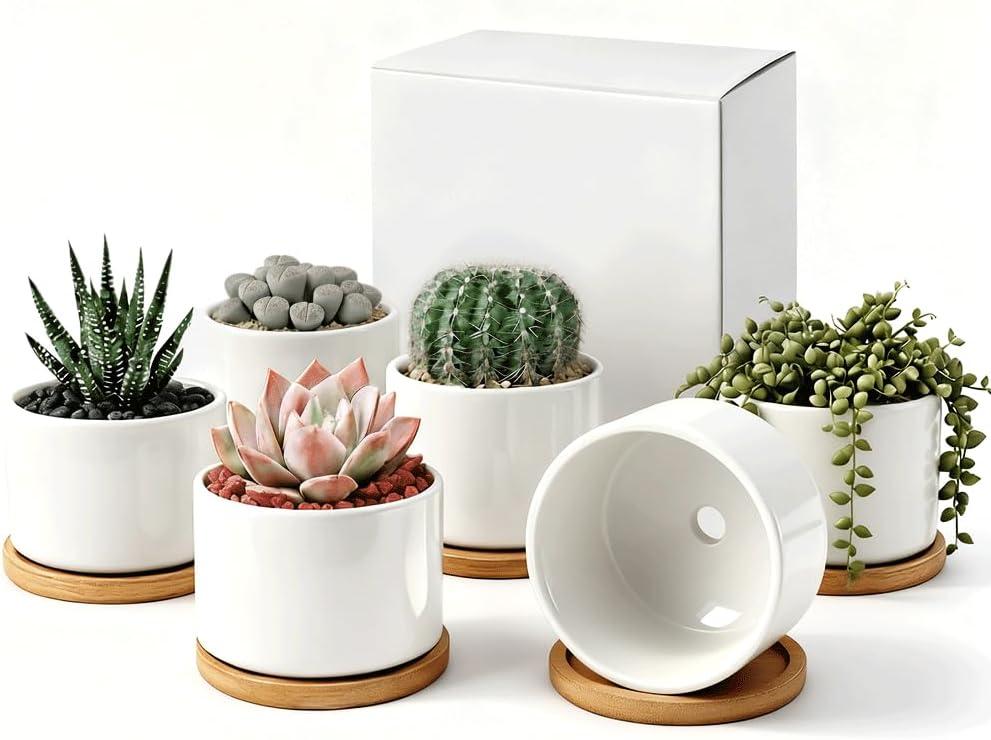 Succulent Pots Indoor: (3.12 Inch) White Ceramic Planter Set for Indoor Plants - Small Pots Includes 6 Bamboo Trays, Ideal for Home, Office Desk, Tabletop Decor