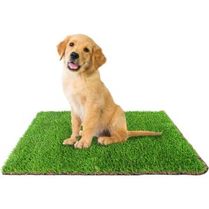 Downtown Pet Supply Replacement Dog Potty Grass, 16 x 20 - Washable Synthetic Grass Pad for Dogs, Suitable as Indoor or Outdoor Grass Pee Turf - Dog Housebreaking Supplies