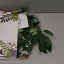 RECUTMS Artificial Willow Leaves Vine Twigs 2Pcs 5.7Ft Fake Hanging Ivy Plants Silk Green Leaf Rattan Garland Greenery Decor for Indoor Outdoor Home Wedding Arch Jungle Beach Birthday Party Garden