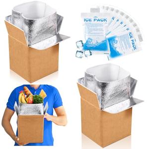 Honoson 3 Pcs Thermal Insulated Shipping Boxes for Frozen Food with Ice Pack and Aluminum Foil Liner for Shipping Big Cold Pack Cooler Mailing Boxes for Moving Hot Frozen Food (6'' X 5'' X 6.5'')