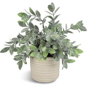 Hopewood Faux Plants, Small Fake Plant for Bathroom, Decorative Artificial Plants for Farmhouse Desk Shelf Decor with A Weave Basket (9.8inch)