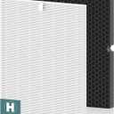 116130 Replacement Filter H for Winix 5500-2 AM80 Plasmawave Air Purifier, Includes 1 Pack Filter H and 1 Pack Activated Carbon Filter