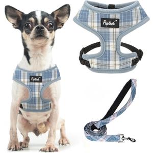 PUPTECK Soft Mesh Dog Harness and Leash Set Pet Puppy Cat Comfort Padded Vest No Pull Harnesses, Sky Blue, XS (XS (NECK: 10", CHEST: 10"-14"))