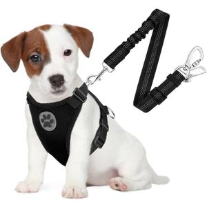 SlowTon Dog Seat Belt Harness for Car, Dog Car Harness Adjustable Mesh Breathable & Dog Seatbelt Safety Tether with Elastic Bungee for Small Medium Large Pets(Black, Double Clip, S)