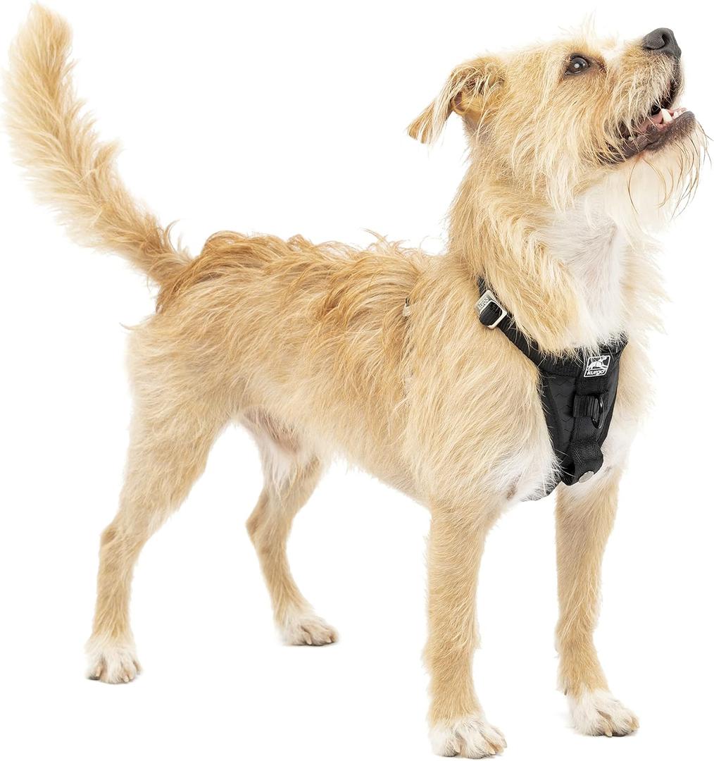 Kurgo Enhanced Strength Tru-Fit Smart Dog Harness, Crash Tested Car Safety Harness for Dogs, No Pull Dog Harness, Includes Pet Safety Seat Belt Tether - Black, X-Small