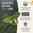 Numi Organic Green Tea with Jasmine, 100 Green Tea Bags with Real Jasmine (EXP 03/20/29)