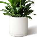 Giraffe Creation 12-Inch Round Cylinder Plant Pot, Modern Indoor/Outdoor Planter with Drainage Hole, Saucer & Water Reservoir, White