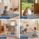 Smiry Dog Door Mat for Muddy Paws 30x20, Absorbs Moisture and Dirt Doormat, Non-Slip Washable Quick Dry Chenille Front Door Mat Indoor Entrance, Entryway Carpet for Inside Floor, Grey