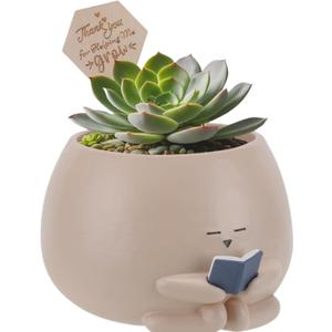 Bookworm Planter Pot - Cute Plant Pots for Succulents with Thank You Sign & Card, Resin Reading Planter for Indoor Outdoor Decor, Succulent Gifts for Book Lovers, Teacher Mom Dad Appreciation (Medium)