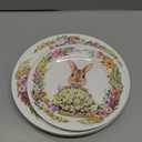 8 Pcs Easter Salad Plates Bunny Plates 8 Inch 10 Inch Easter Dishes Dinnerware Sets Ceramic-like Assorted Designs Spring Rabbit Plate for Dinner Salad Dessert Party Supplies(Cute)