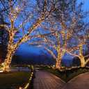 100 Warm White Wide Angle LED Mini Lights on Brown Wire 34 Ft Commercial Grade Christmas String Lights, Full Wave No Flicker, Indoor/Outdoor UL Listed, Connect Up to 21 Sets