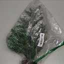 Kurt S. Adler 18-Inch Flocked Miniature Canadian Pine Christmas Tree, Green, White, Brown (TR0043)