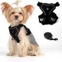 Vest Harness Leash Set for Small Dog Cat, Kitten Escape Proof Adjustable Jacket with Lead for Puppy Fat Cat Outdoor Walking, Soft Breathable Mesh Coat with Reflective Strip,M Black