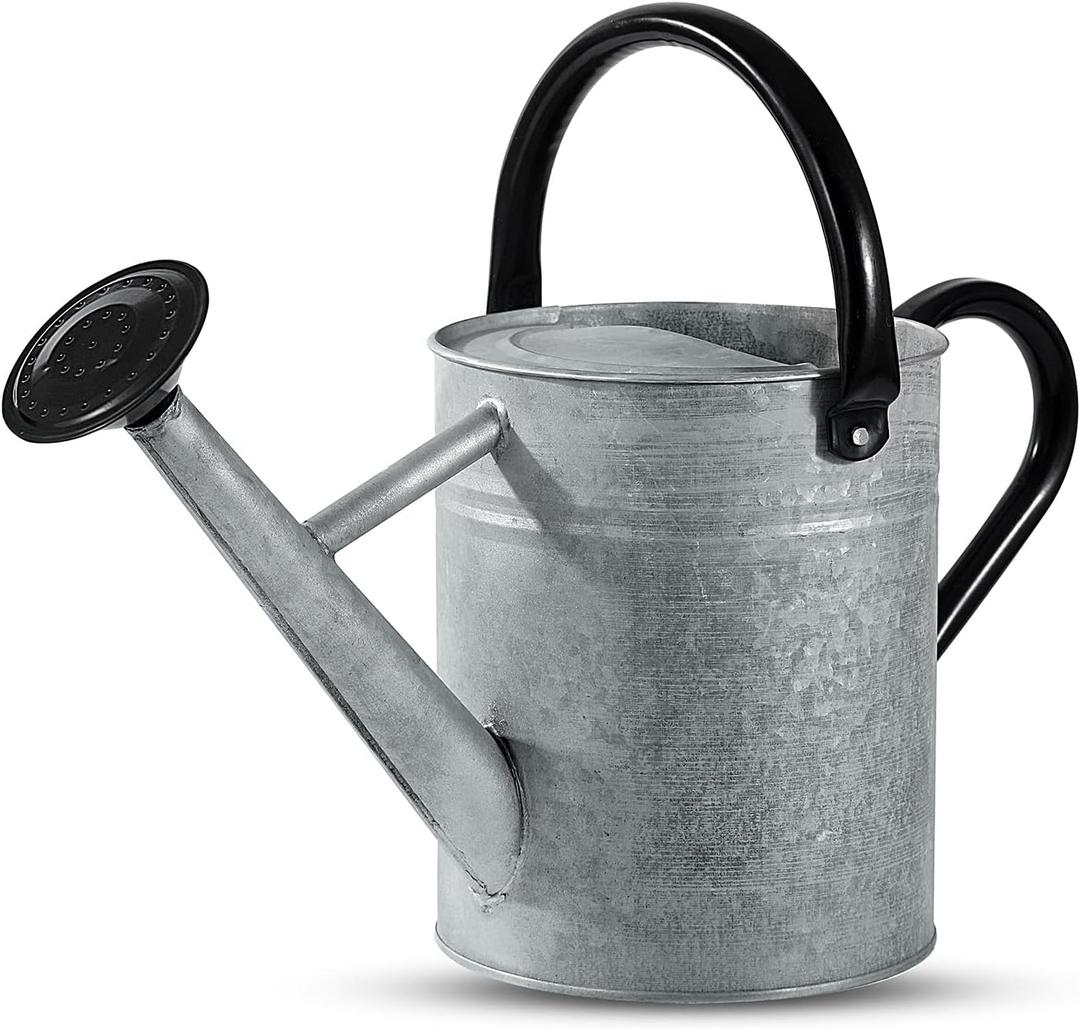 1 Gallon Watering Can for Plants, Watering Cans for Indoor&Outdoor Gardening, Galvanized Steel Watering Pot with Removable Spout, Metal Water Can with Ergonomic Movable Handle (Rustic Silver)