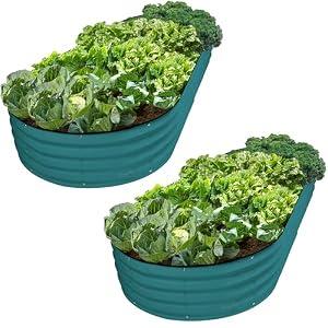 Plant & Plot Galvanized Raised Garden Beds Outdoor / / 8×4×1 ft (2-Pack) Planter Raised Beds for Gardening, Vegetables, Flowers / / Large Metal Garden Box / / Patented Tool-Free Design (Turquoise)