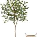 Warmplants Artificial Eucalyptus Tree, 6ft Tall Fake Eucalyptus Plant with Basket, Green Silver Dollars Silk Leaves Faux Tree for Home Office Livingroom Floor Decor Indoor