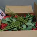 100 Pcs Red Roses Artificial Flowers, Real Touch Velvet Roses Bouquet Fake Flowers Bulk, Artificial Roses with Long Stems for Birthday Gift Women Mom DIY Bridal Wedding Centerpiece Decorations