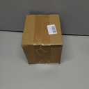 Halloween Skull Head Decor, Resin Skull Statues, Resin Skull Head Tabletop Decoration for Halloween Home Office Decor Candy Servers