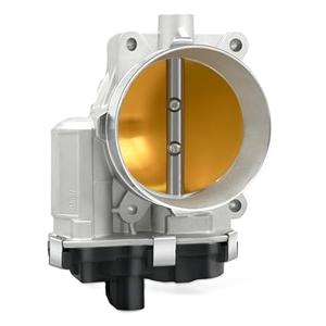 ACDelco GM Genuine Parts 217-3156 Fuel Injection Throttle Body with Throttle Actuator