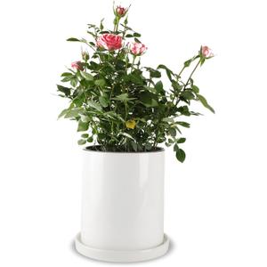 Mozing Ceramic Plant Pots Indoor - Garden Planter Pot for Planting - Modern Flower Pots with Drainage Hole for Home & Office Decor7x8.5 in Glossy surface ) (White (Glossy Finish)