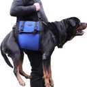 Dog Carry Sling, Emergency Backpack Pet Legs Support & Rehabilitation Dog Lift Harness for Large Dogs, Dog Carrier for Senior Dogs Joint Injuries, Arthritis, Up and Down Stairs (Blue, XXL)