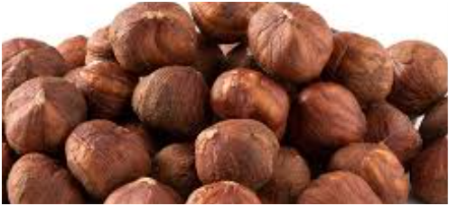 Oregon Hazelnuts (Filberts) | Raw and Unsalted | Steam Pasteurized and NON-GMO | No Shell - Just Kernels | JUMBO SIZE | Packed in Resealable Bags, 907g, 06/14/2026