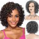 XIUFAXIRUSI XIUFAXIRUSI Short Curly Afro Wigs for Black Women Grey Kinky Curly Full Hair Wig Synthetic Natural Salt N Pepper Heat Resistant Wigs for Daily Use