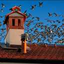 Cone Top Chimney Cap, RoundChimney Cover Cap Outside Roof Fireplace Screen Cover Exterior Stove Pipe Topper (Black, 6in-1)