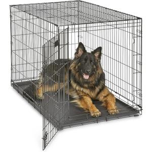 MidWest Homes for Pets Newly Enhanced Single & Double Door iCrate Dog Crate, Includes Leak-Proof Pan, Floor Protecting Feet, Divider Panel & New Patented Features (48.0"L x 30.0"W x 33.0"H, Black)