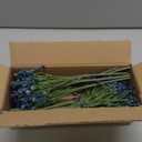 Baby's Breath Artificial Flowers Bulk 10 Pack (30pcs) Faux Baby Breath Plastic Flower Fake Gypsophila Flower Arrangement for Crafts Fake Flowers Bouquet for Wedding Centerpieces Blue Baby Breath