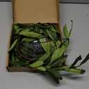 6FT Olive Garland with Lights with Timer Prelit Garland Fairy Lights Christmas Garland for Spring Holiday Fireplace Mantle Decoration Indoor Outdoor