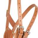 Weaver Leather Miracle Collar in Display Box (Small, Russet)