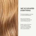 John Frieda Go Blonder Lightening Spray, Hair Lightening Spray for Blonde Hair, 3.5 fl oz, Pack of 2