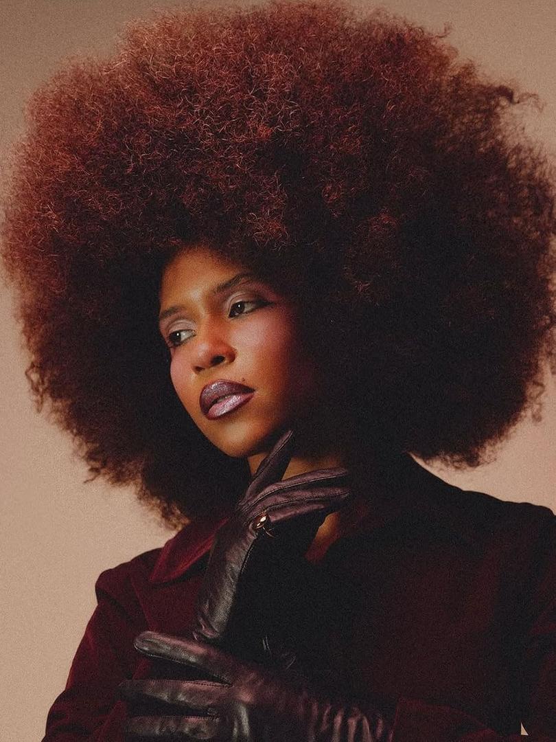 GKtineke Short Afro Wig With Bangs for Black Women 70s Afro Kinky Curly Wig Bouncy Huge Fluffy Puff Wigs Synthetic Hair for Cosplay Daily and Party (Red Brown, 14 Inch)