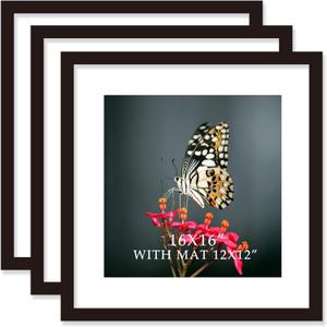 16x16 Frame Black With Mat 12x12 Solid Wood Picture Frames Wall Mounting (3 pack, 16x16 Inch)