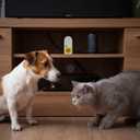 Sound Devices Group (Hidden Cat Meow)
