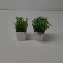 Der Rose 2 Pack Fake Plants Mini Artificial Greenery Potted Plants for Home Decor Indoor Office Table Room Farmhouse
