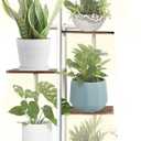 Metal Plant Stand with Grow Lights Multiple Flower Planter Pot Holder Shelf Rack Display for Patio Garden Corner Balcony Living Room (White, 6 Tiers) (6 Tiers, White)