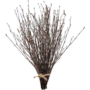 17 Inch Natural Birch Branches Dried Birch Twigs Wreath Making Supplies Dried Plants for Rustic Home Decor Easter Stems Vase Filler DIY Crafts Vases Tall Wreath Christmas Decoration Wedding (50Pcs)