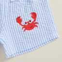 Toddler Baby Boy Swim Cover Up Zipper Towel Terry Hood Tops Seersucker Gingham Shorts Set 2pcs Beach Bathing Suit (12-18 Months, Sky Blue)