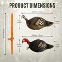 Turkey Decoys for Hunting 2 Pack, Jake and Hen with Stakes