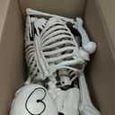 JOYIN 5 FT Halloween Skeleton Life Size, Stayable Posable Skeleton Decor, Full Body Movable Joints Giant Skeletons for Halloween Decoration Outdoor, Haunted House Prop, Spooky Scary Graveyard Party (Beige, M)