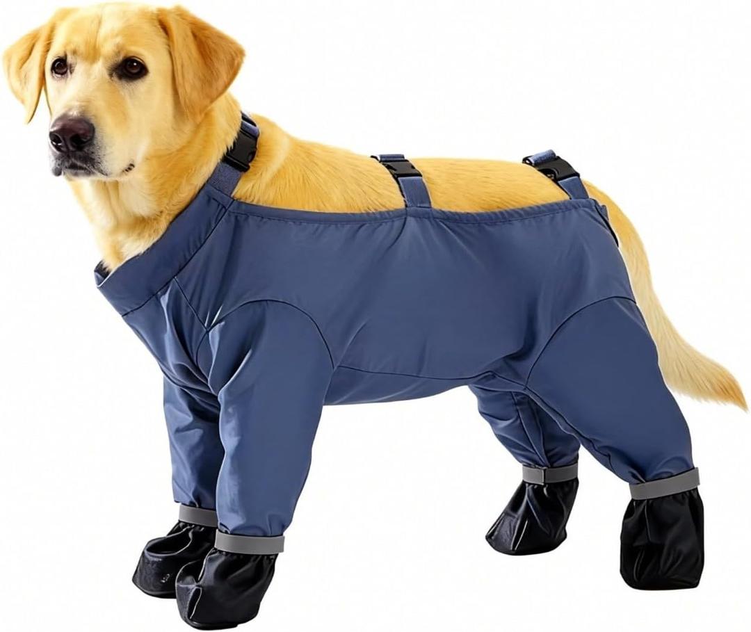 Dog Rain Boots, Waterproof Dog Rain Shoes for All Weather, Anti Dirt Pants with Shoes, Adjustable Suspender Pants for Outdoor Walking & Paw Protectors (M)