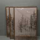 DRACIT Beige Foggy Pine Tree Framed Canvas Wall Art Set,Modern Misty Forest Wall Decor,Nature Landscape Brown Art Print for Living Room,Bedroom-16 x24 x3
